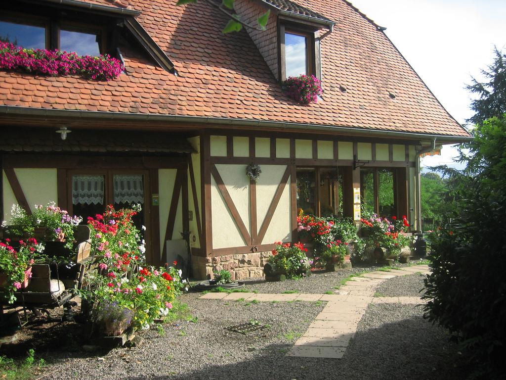 مبيت وإفطار Oberhaslach Le Neufeld المظهر الخارجي الصورة
