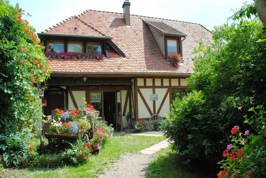 مبيت وإفطار Oberhaslach Le Neufeld المظهر الخارجي الصورة