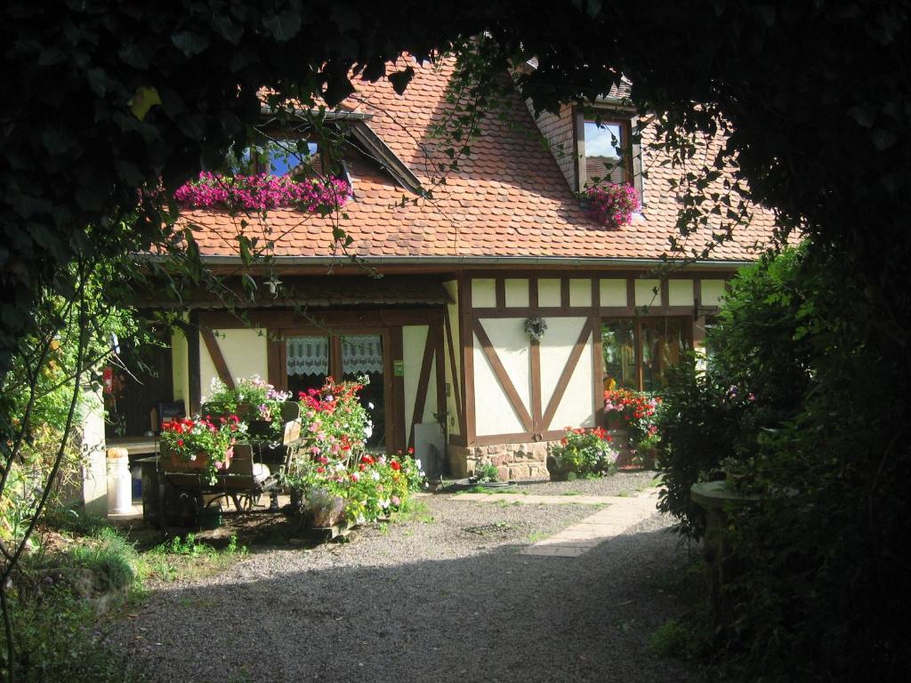 مبيت وإفطار Oberhaslach Le Neufeld المظهر الخارجي الصورة