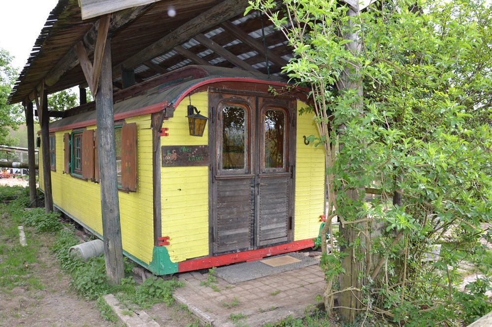 مبيت وإفطار Oberhaslach Le Neufeld المظهر الخارجي الصورة