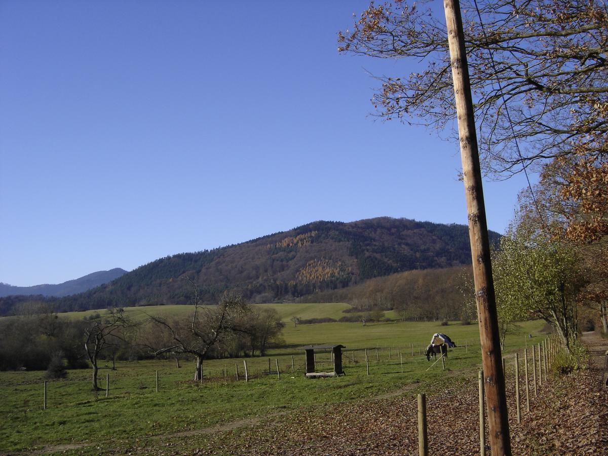 مبيت وإفطار Oberhaslach Le Neufeld المظهر الخارجي الصورة